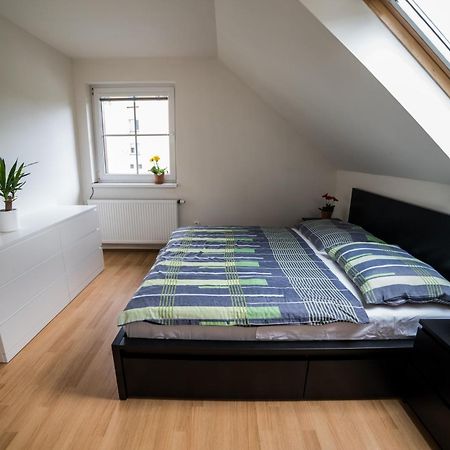 Apartmany Hasicarna Horní Vltavice 外观 照片