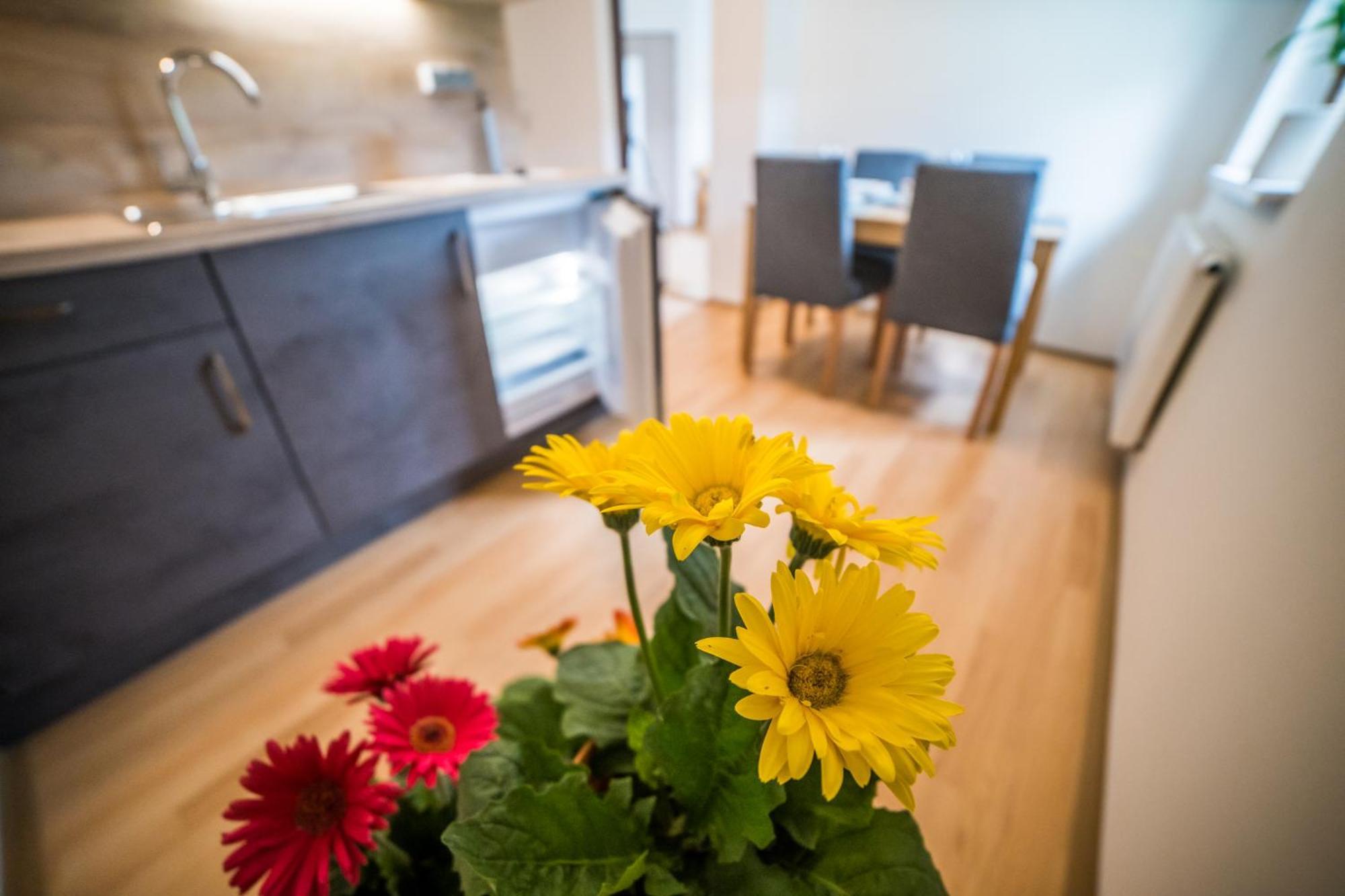Apartmany Hasicarna Horní Vltavice 外观 照片
